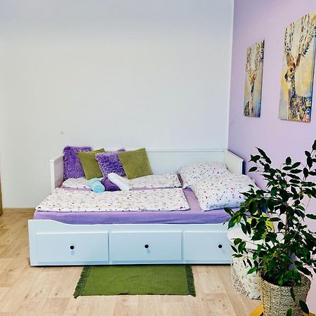 Garsonka Ve Dvore Dvůr Králové nad Labem Exterior foto